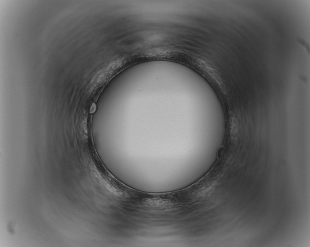 X0000099400633200805221856