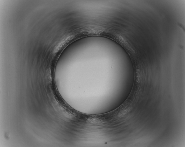 X0000099400634200805221856