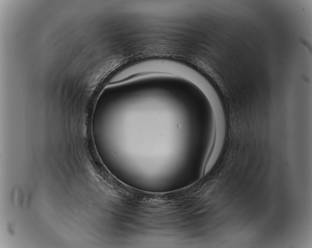 X0000099400635200805221856