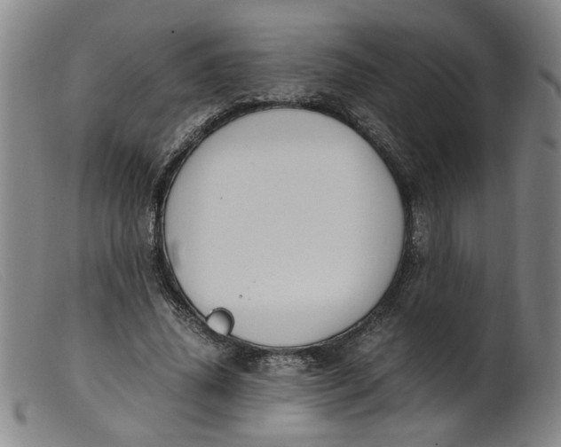 X0000099400636200805221856