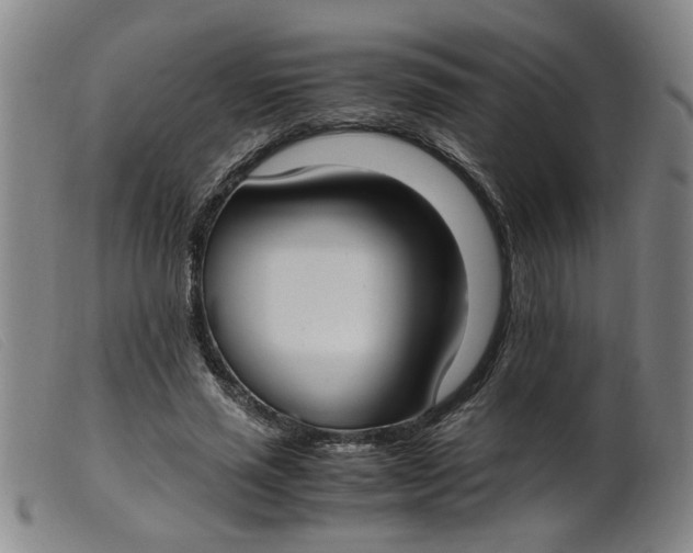 X0000099400637200805221857