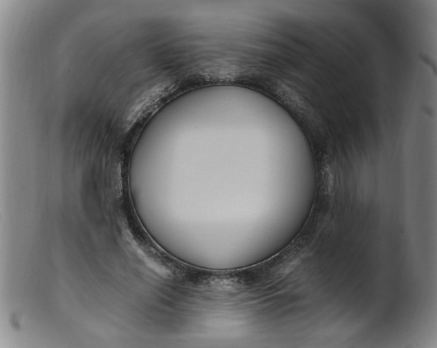 X0000099400638200805221857