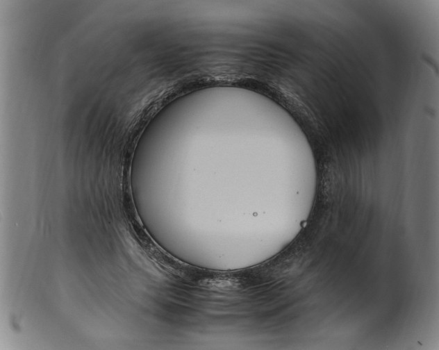 X0000099400639200805221857