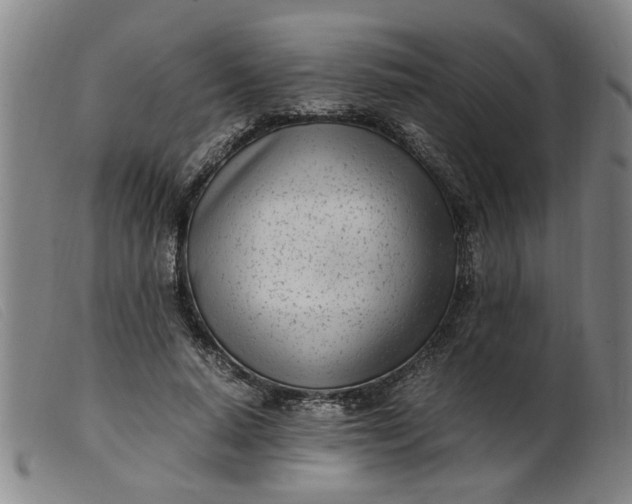 X0000099400640200805221857