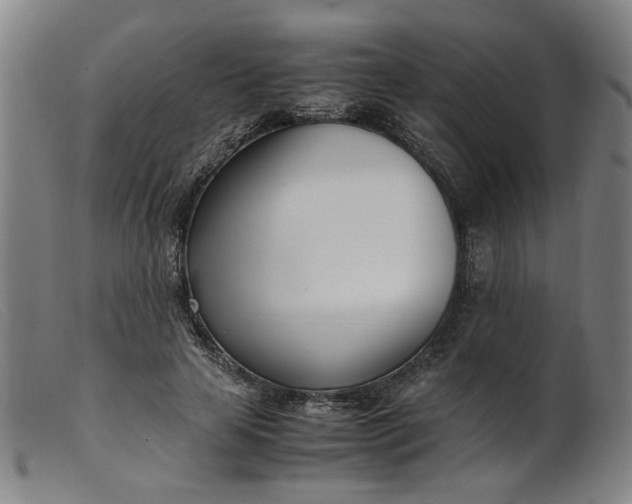 X0000099400641200805221857