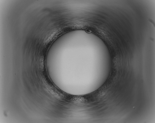 X0000099400642200805221857