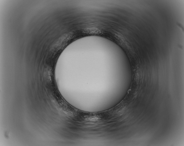 X0000099400643200805221857