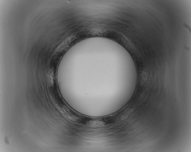 X0000099400644200805221857