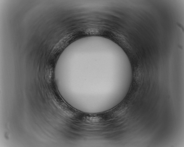 X0000099400645200805221857