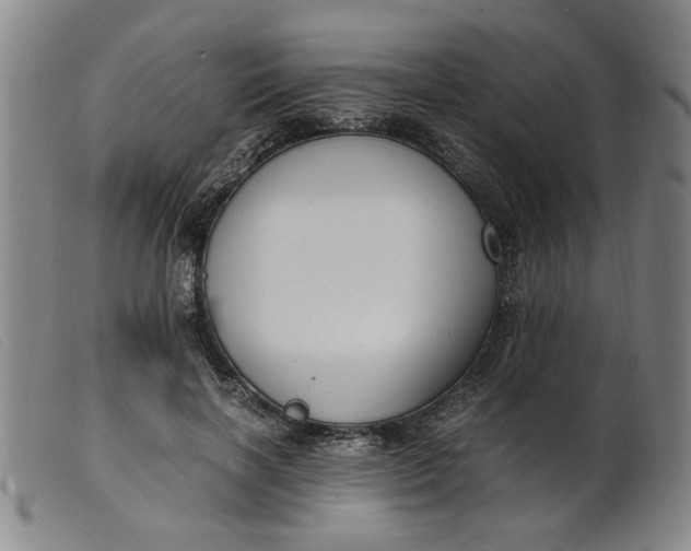 X0000099400646200805221857