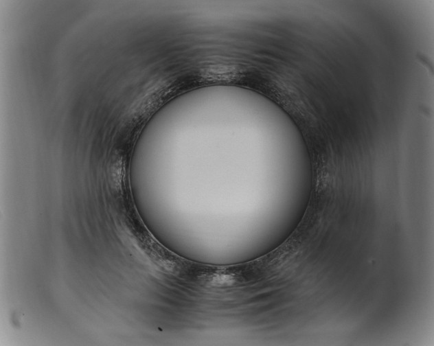 X0000099400647200805221857