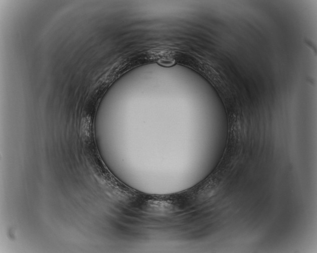 X0000099400649200805221857