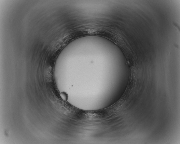 X0000099400650200805221857