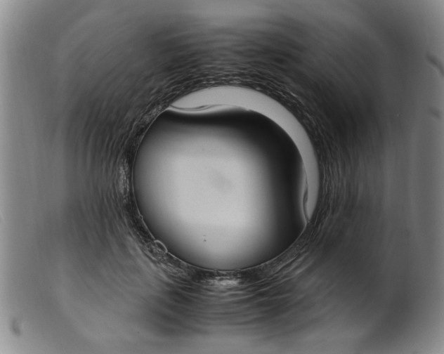 X0000099400651200805221857