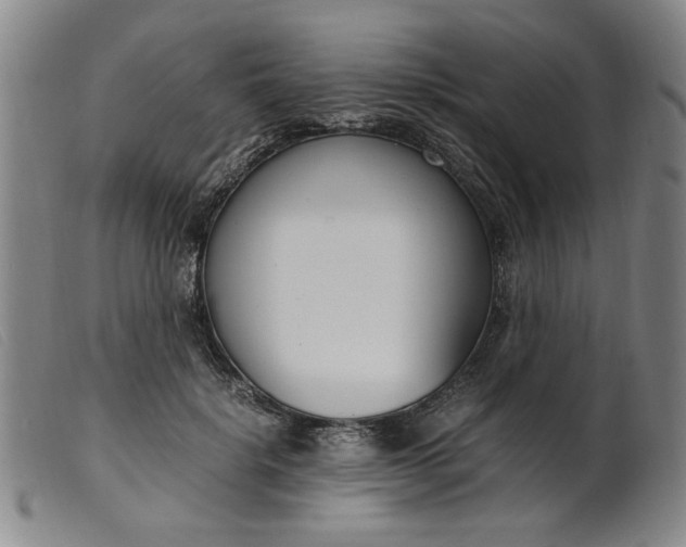 X0000099400652200805221857