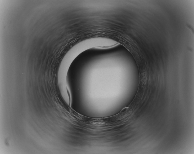 X0000099400653200805221857