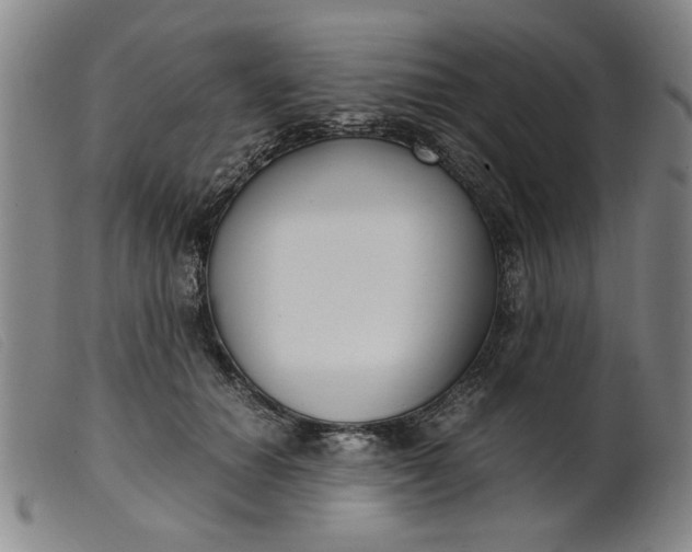 X0000099400654200805221857