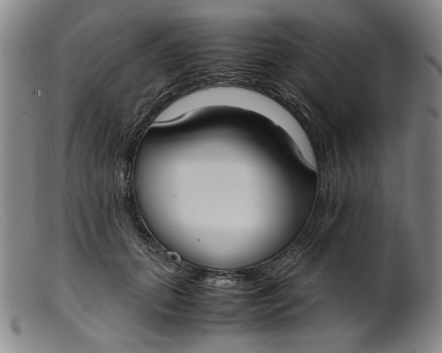 X0000099400655200805221857