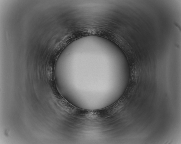 X0000099400656200805221857