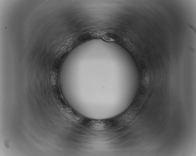 X0000099400658200805221857