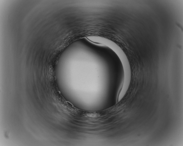 X0000099400659200805221857