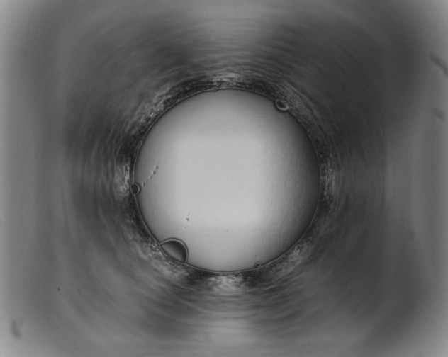 X0000099400660200805221857