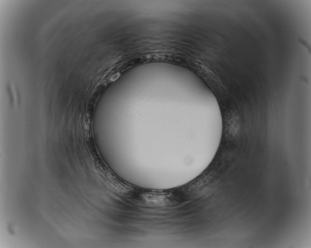 X0000099400661200805221857