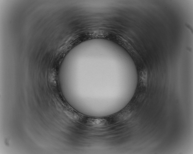 X0000099400663200805221857