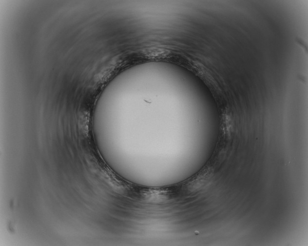 X0000099400664200805221857