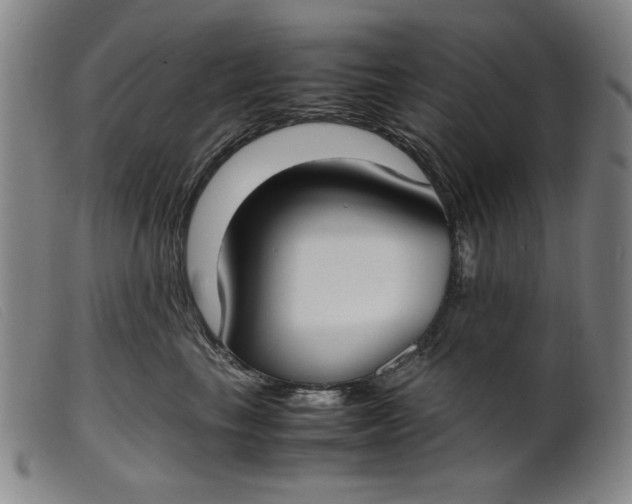 X0000099400665200805221857