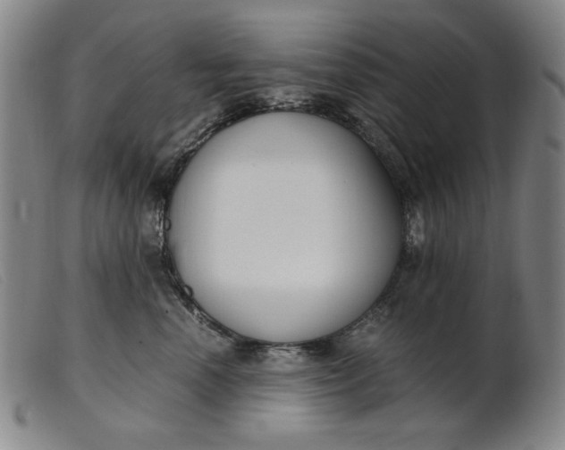 X0000099400666200805221857