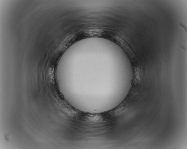 X0000099400667200805221857