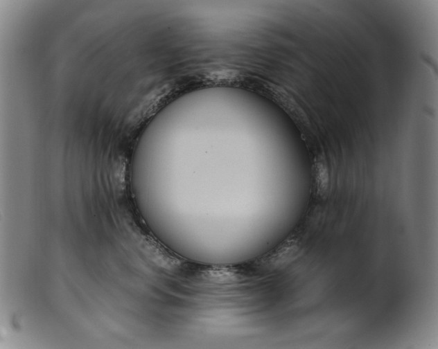 X0000099400668200805221857