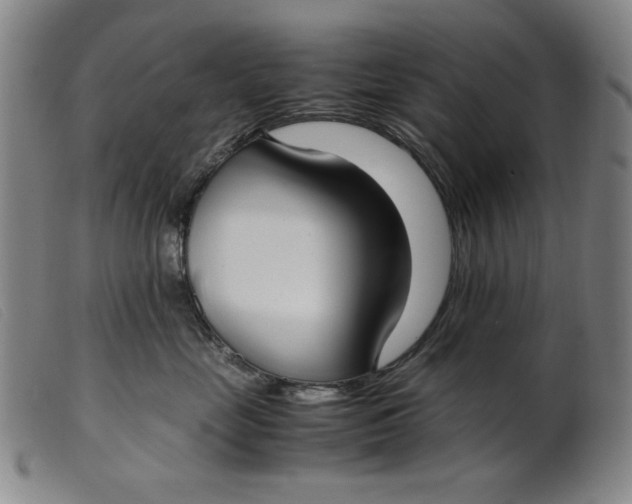 X0000099400669200805221857