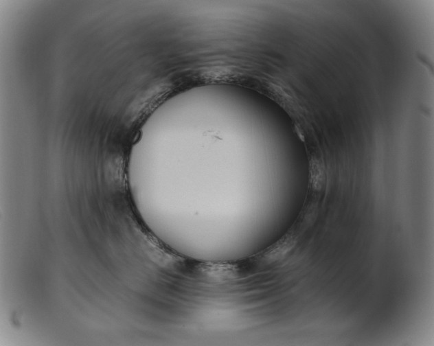 X0000099400670200805221857