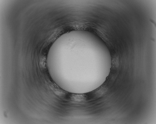 X0000099400671200805221857