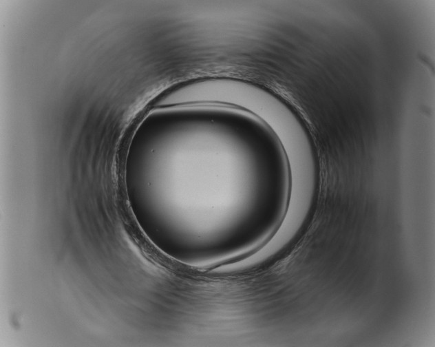 X0000099400674200805221856