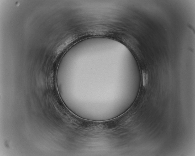 X0000099400675200805221856