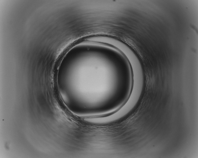 X0000099400676200805221856