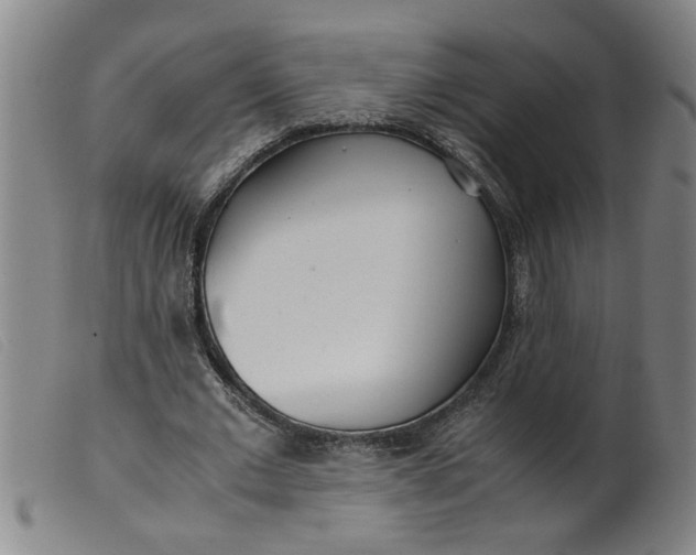 X0000099400677200805221856