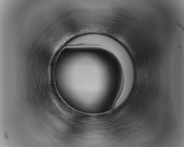 X0000099400678200805221856