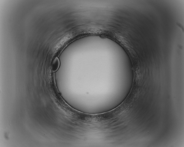 X0000099400679200805221856