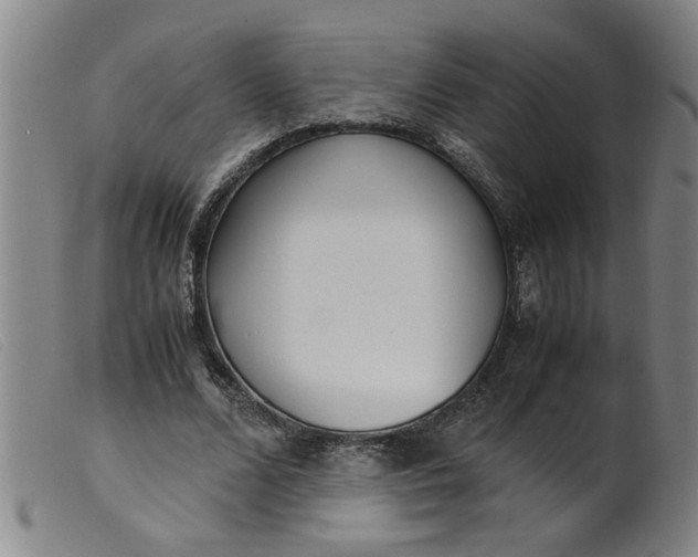 X0000099400680200805221856