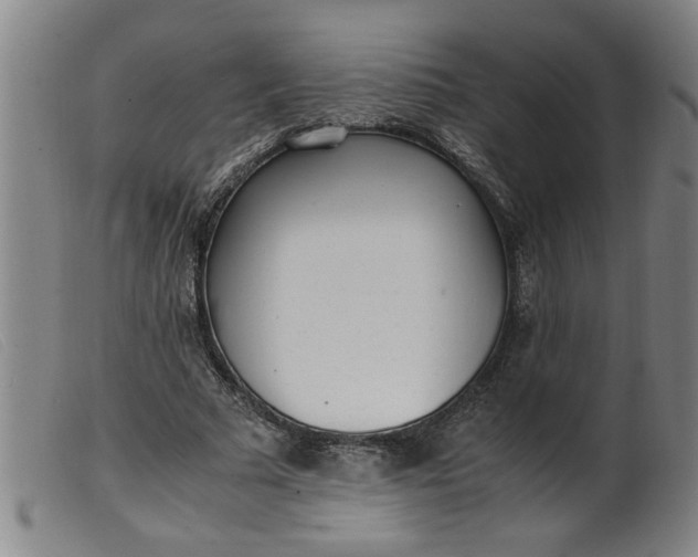 X0000099400681200805221856