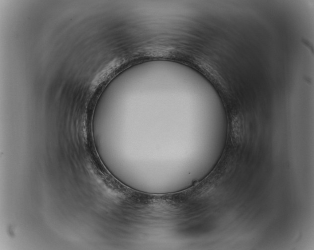 X0000099400682200805221856