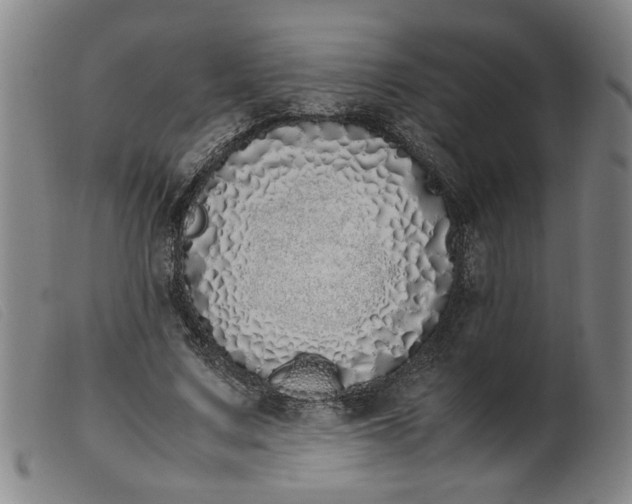 X0000099400683200805221856