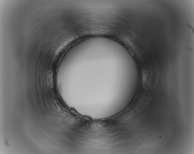 X0000099400684200805221856