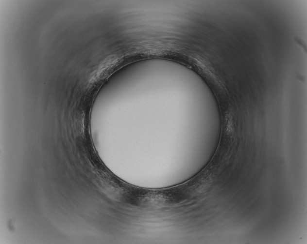 X0000099400685200805221856