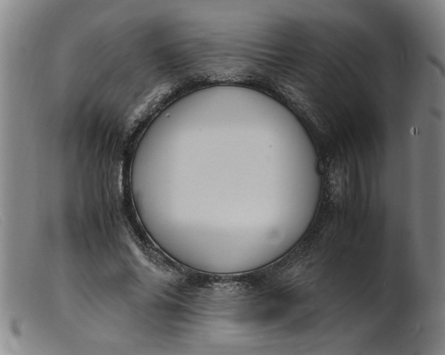 X0000099400686200805221856