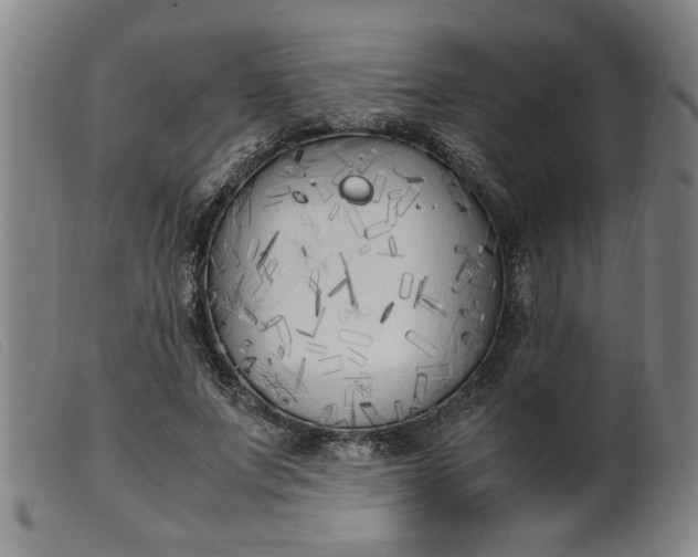 X0000099400687200805221856